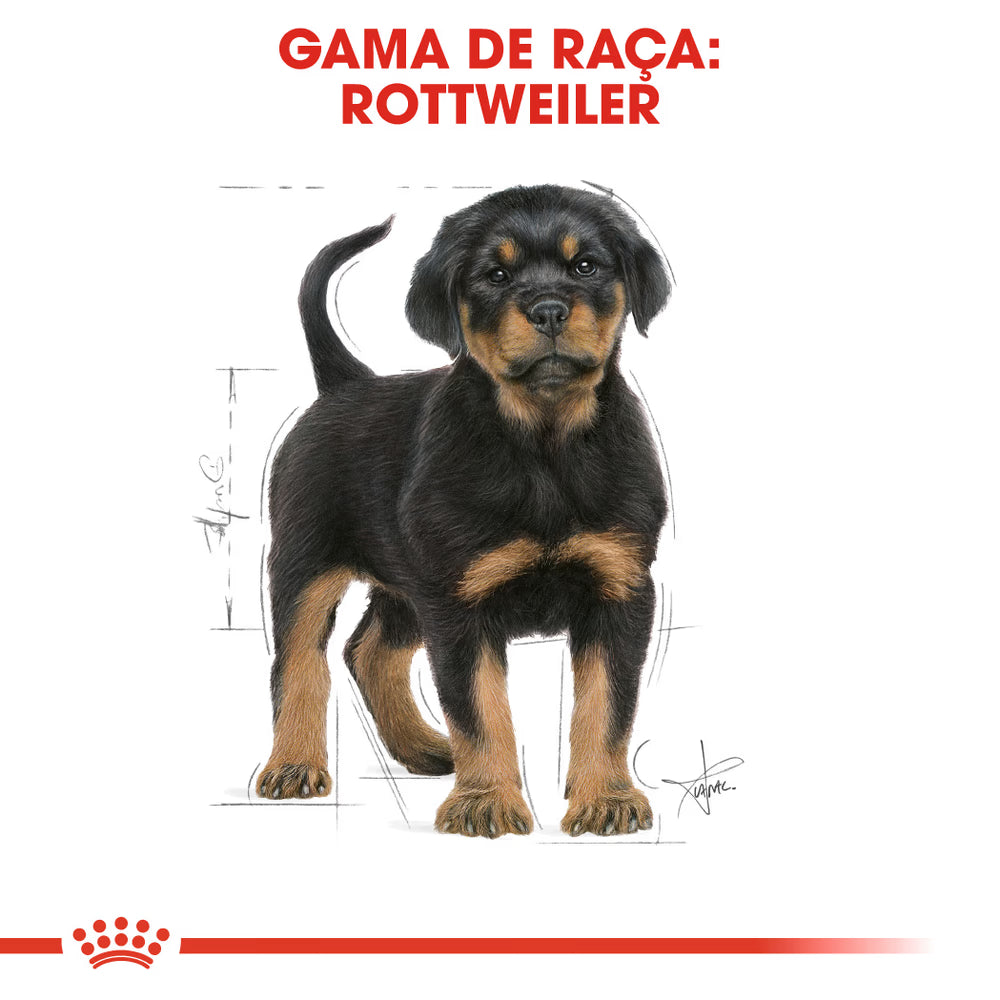 Royal Canin Rottweiler Cachorro Cão Aves de capoeira - Ração seca para cão