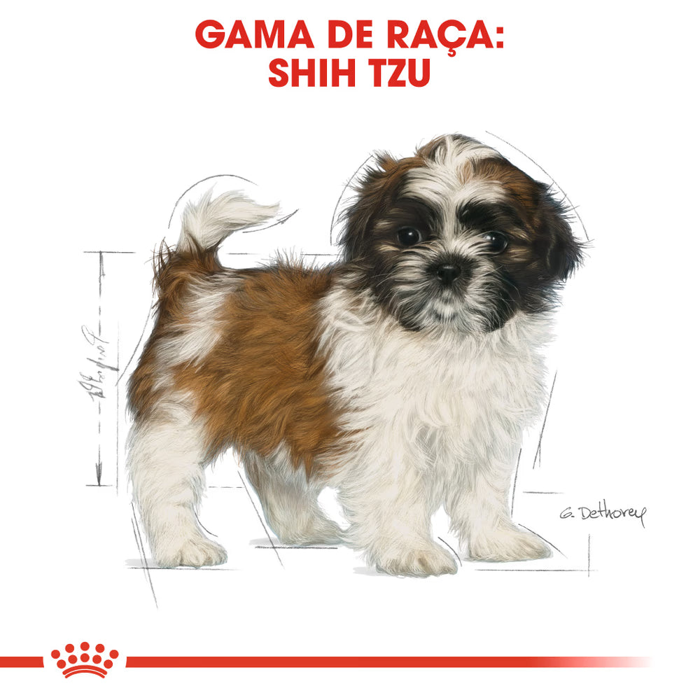 Royal Canin Shih Tzu Puppy Dog Poultry - Dry food for growing dogs