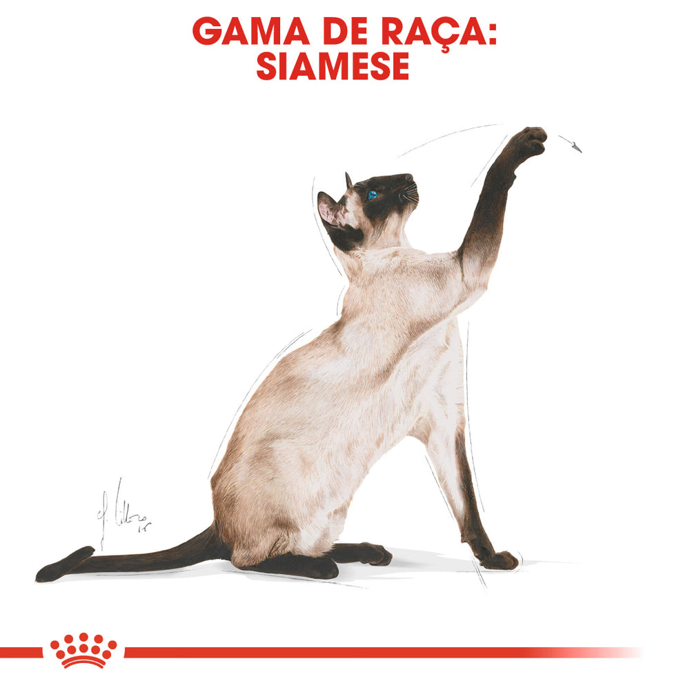 Royal Canin Siamese Adulto Gato Aves de Corral - Pienso seco para gato siamés