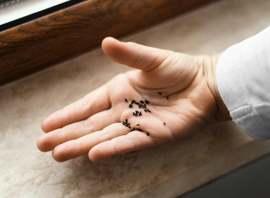 Para que serve o Biokill? Como aplicar ?