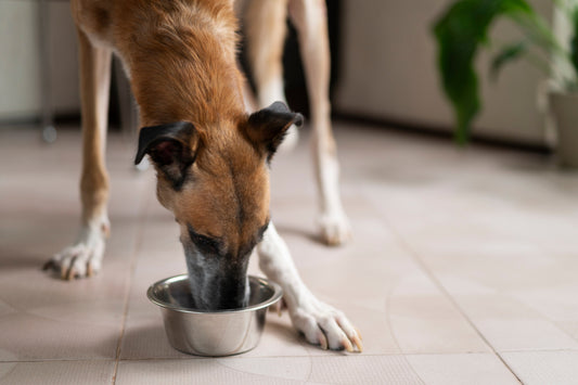 Mix Feeding: O que é e quais são os benefícios?