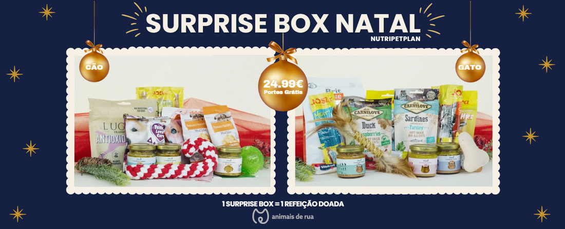 Prenda de Natal para Animais de Estimação?  Sim, na NutriPetPlan temos!