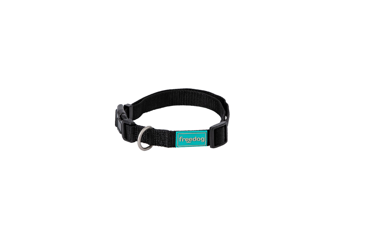 Dog Chow COLLAR NYLON BASIC - Collar para perro