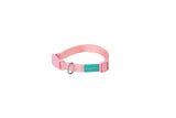 Dog Chow COLLAR NYLON BASIC - Collar para perro