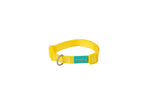 Dog Chow COLLAR NYLON BASIC - Collar para perro