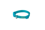 Dog Chow COLLAR NYLON BASIC - Collar para perro