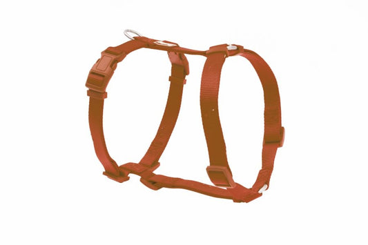 FREEDOG ARNES NYLON BAISC - Dog harness