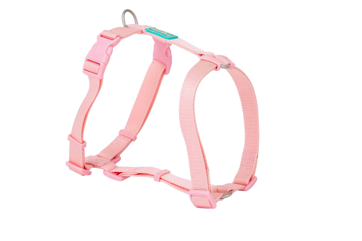 FREEDOG ARNES NYLON BASIC 15 mm x 30 / 50 cm - Dog harness