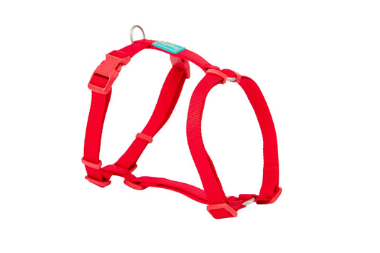 FREEDOG ARNES NYLON BASIC 20 mm x 51 / 70 cm - Dog harness