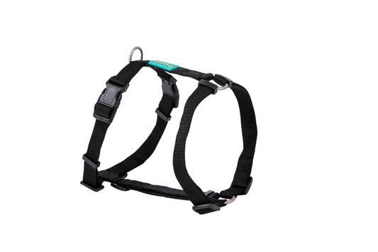 FREEDOG ARNES NYLON BASIC 20 mm x 51 / 70 cm - Dog harness