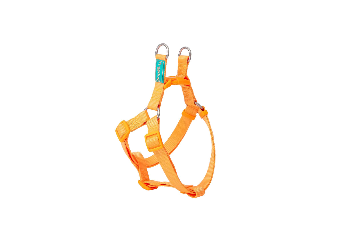 FREEDOG ARNES NYLON BASIC TIPO A 10 mm x 20 / 36 cm - Arnés para perro