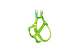 FREEDOG ARNES NYLON TIPO A 10 mm x 20 / 36 cm - Peitoral para cão