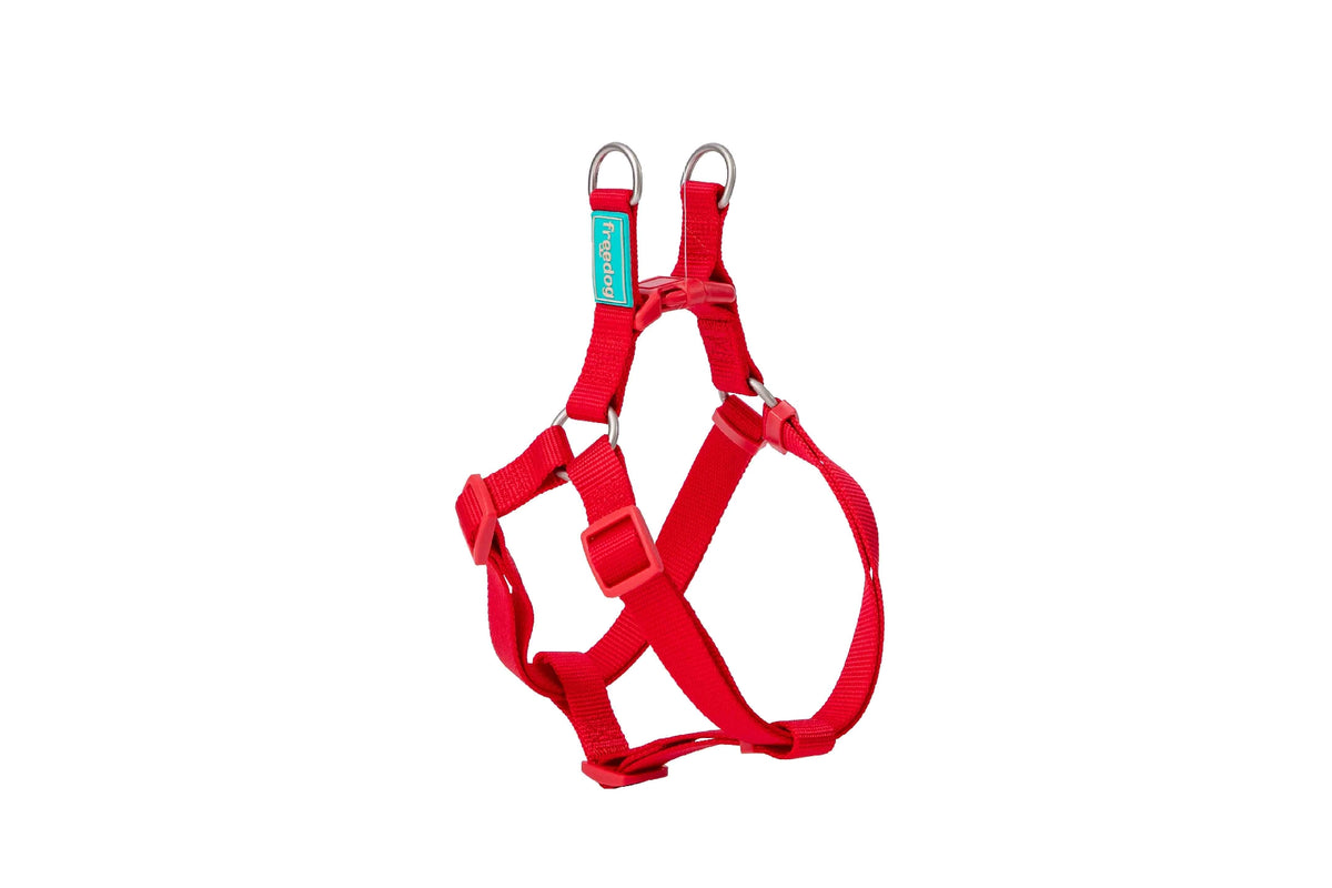 FREEDOG ARNES NYLON BASIC TIPO A 20 mm x 51 / 70 cm - Harness for dogs