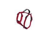 FREEDOG ARNES EXTREME 20 mm x 51 / 74 cm - Arnés para perro