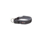 Dog Chow COLLAR SHIVA 10 mm x 20 / 35 cm - Adjustable dog collar