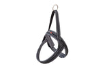 FREEDOG ARNES SHIVA SPORT 25 mm x 62 / 72 cm - Dog harness