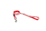 FREEDOG CORREA M - Collar para perro