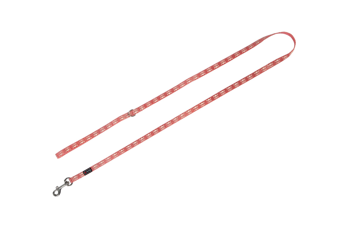 FREEDOG CORREA GATO REFLECTANTE 10 mm x 120 cm - Collar reflectante para gato