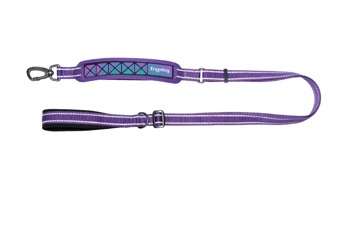 FREEDOG CORREA BOREAL 25 mm x 120 / 180 cm - Adjustable reflective dog lead