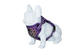FREEDOG ARNES BOREAL 15 mm x 32 / 48 cm - Arnés para cão