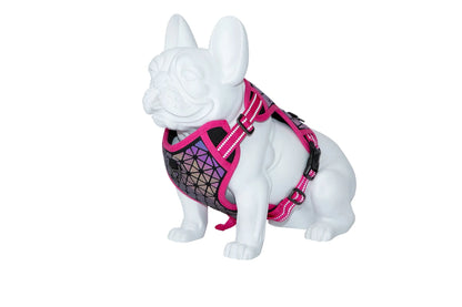 FREEDOG ARNES BOREAL 15 mm x 32 / 48 cm - Arnés para cão