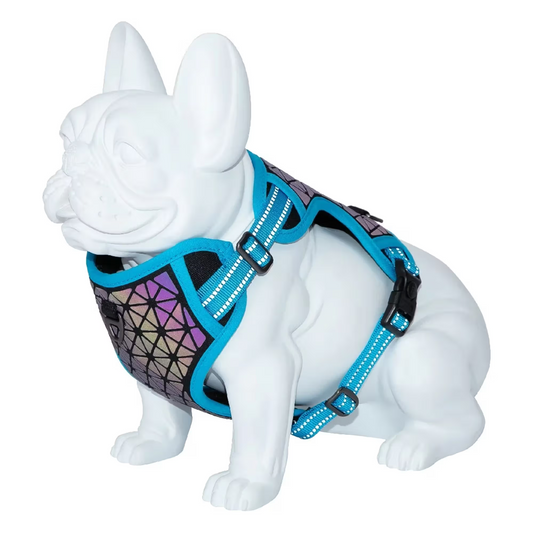 FREEDOG ARNES BOREAL - Arnês para cão