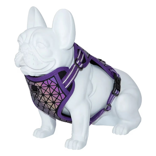 FREEDOG ARNES BOREAL - Arnês para cão