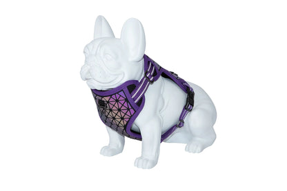 FREEDOG ARNES BOREAL 20 mm x 38 / 59 cm - Arnés para perro