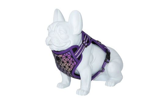 FREEDOG ARNES BOREAL 20 mm x 38 / 59 cm - Dog harness