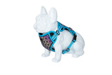FREEDOG ARNES BOREAL 25 mm x 43 / 65 cm - Arnés para cão