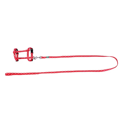 FREEDOG KIT ARNES + CORREA GATOS - Kit de arnés con correa para gato