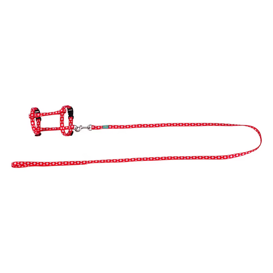 FREEDOG KIT ARNES + CORREA GATOS - Harness and lead set for cats
