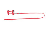 FREEDOG KIT ARNES + CORREA GATOS - Kit de arnês com trela para gato