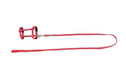 FREEDOG KIT ARNES + CORREA GATOS - Harness and lead set for cats
