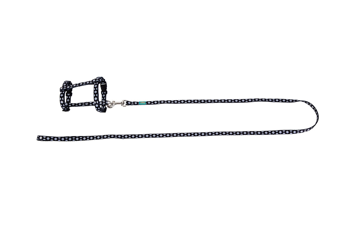 FREEDOG KIT ARNES + CORREA GATOS - Kit de arnês com trela para gato