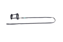FREEDOG KIT ARNES + CORREA GATOS - Kit de arnês com trela para gato