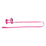 FREEDOG KIT ARNES + CORREA GATOS - Kit de arnés con correa para gato