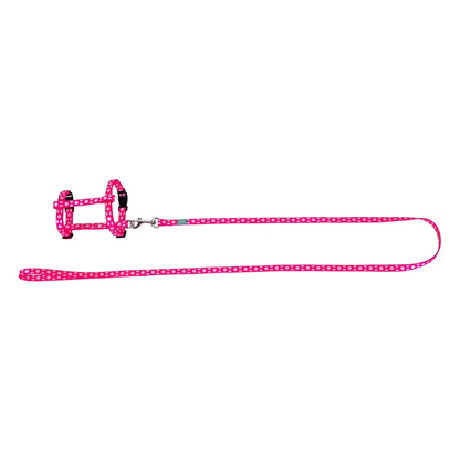 FREEDOG KIT ARNES + CORREA GATOS - Harness and lead set for cats