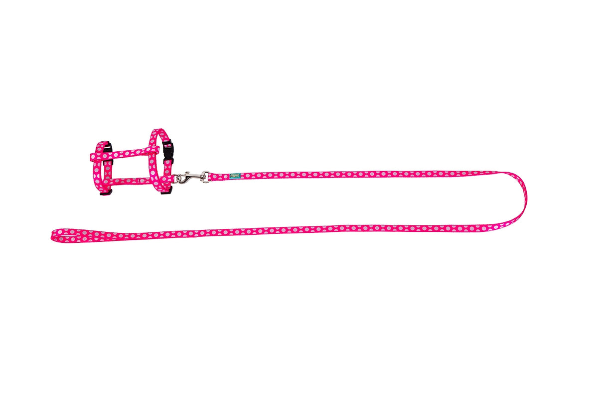 FREEDOG KIT ARNES + CORREA GATOS - Harness and lead set for cats