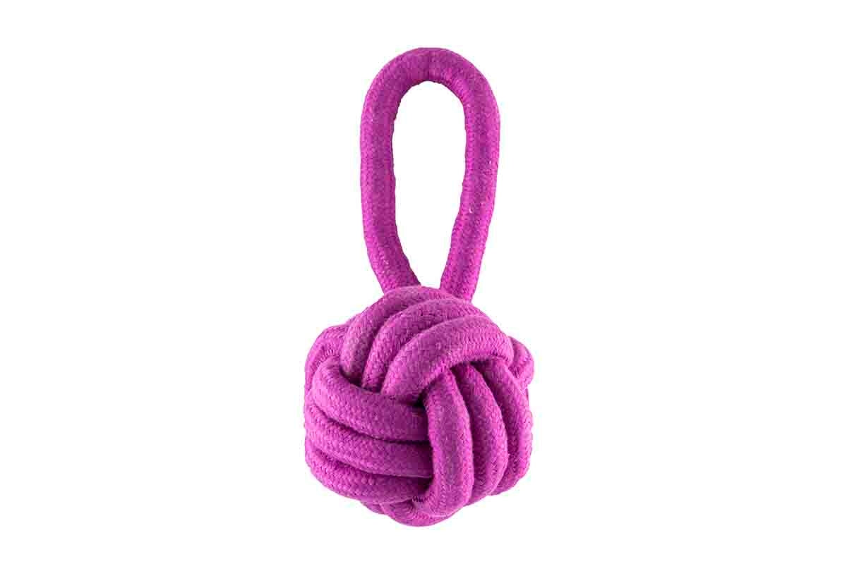 FREEDOG PELOTA CON ASA STRONG 13 x 25 cm - Brinquedo para cão