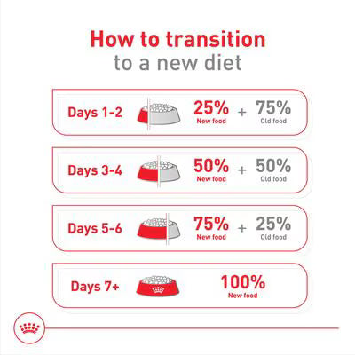 Ração para Cão Royal Canin Dog Medium Adult 7+ | 15 Kg