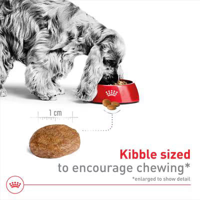 Ração para Cão Royal Canin Dog Medium Adult 7+ | 4 Kg