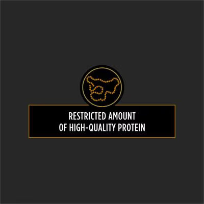 PPVD Canine NF - Alimento veterinario para perros con función renal | 12 kg