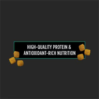 PPVD Canine EN Alimento veterinario para perros - Gastrointestinal | 12 kg