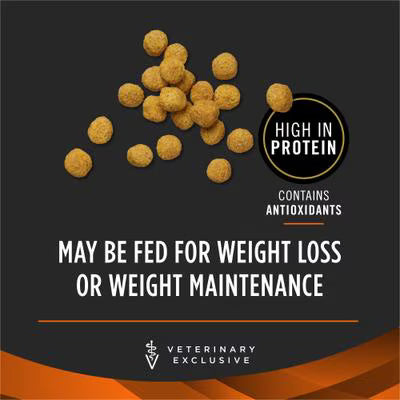 https://cdn.shopify.com/s/files/1/0916/7627/9129/files/1..avif?v=1765978538