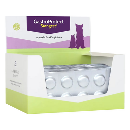 Gastroprotect - Supplement for dogs and cats for gastric protection