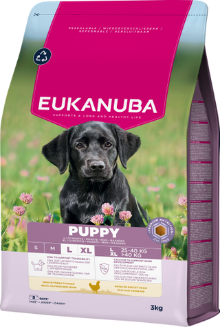 Ração para Cão Eukanuba Puppy Large Breed Chicken