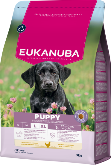 Eukanuba Puppy Large Breed Dog Food Chicken