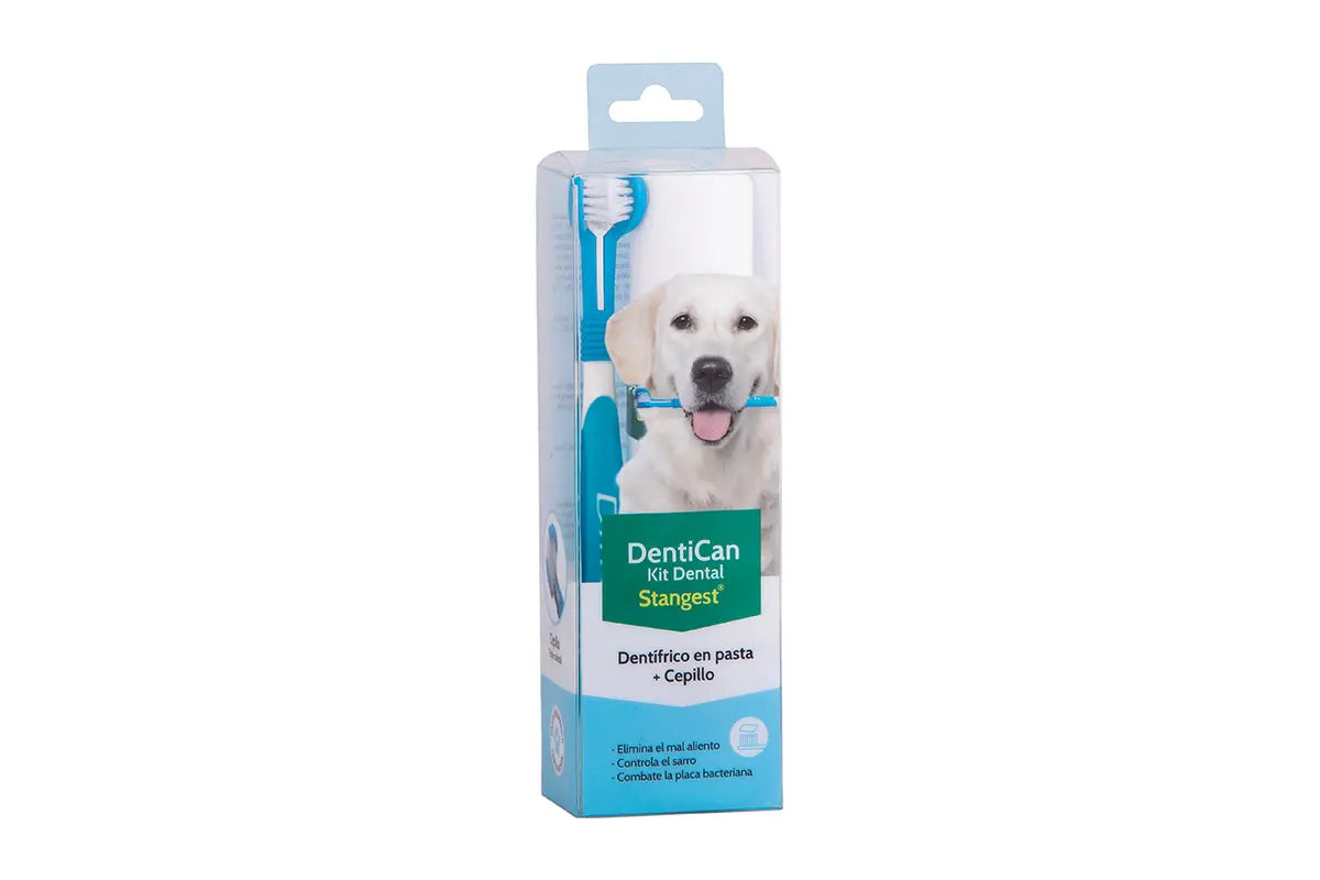 KIT DENTAL CEPILLO+PASTA - Dental hygiene kit for dogs