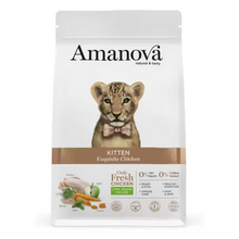 AMANOVA GATO KITTEN FRANGO & QUINOA LOW GRAIN